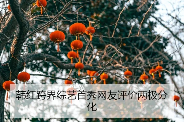 han-hong-kua-jie-zong-yi-shou-xiu-wang-you-ping-jia-liang-ji-fen-hua-2-127.jpg