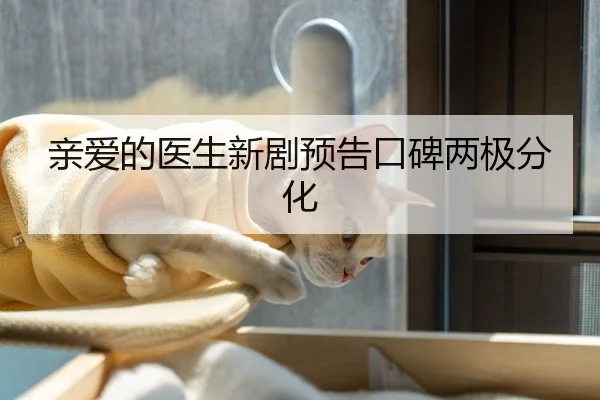 亲爱的医生新剧预告口碑两极分化